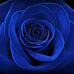 Profile Picture of Steven Manus (@steven.manus.90) on Facebook