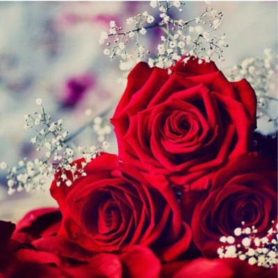 Profile Picture of Amna Abdullah (@AmnaAbdullah8) on Twitter