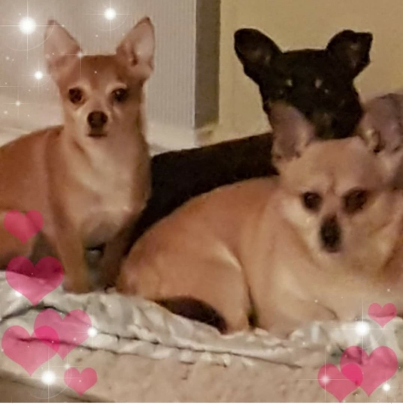 Profile Picture of Earlene Angevine (@earleneangevine) on Poshmark