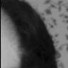 Profile Picture of Tyler Dolph (@362080237) on Myspace
