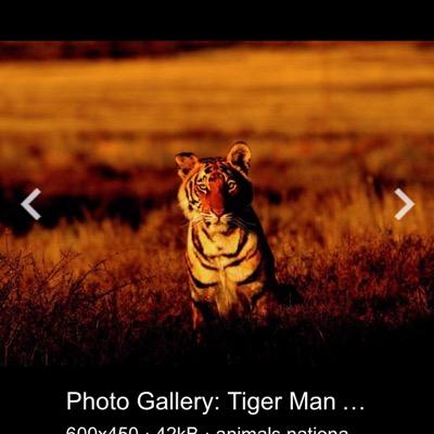 Profile Picture of Foster Thomas Coker (@f008coker) on Twitter