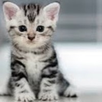 Profile Picture of Dani Fleming (@dani-fleming-5) on Quora