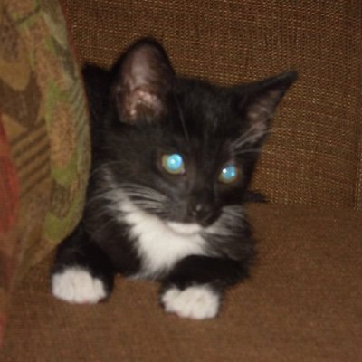Profile Picture of Keith Macinnes (@KeithMacinnes) on Twitter
