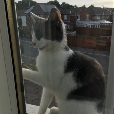 Profile Picture of Jo Coffey (@JoCoffey20) on Twitter