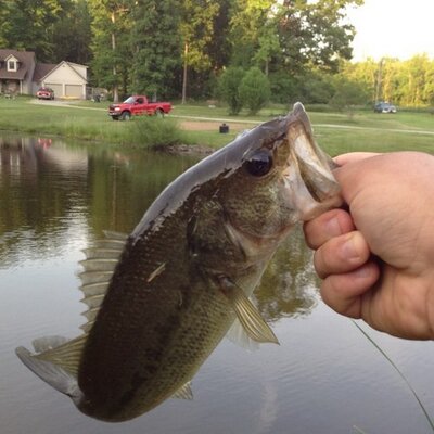 Profile Picture of Tylermattern (@tmattern6) on Twitter