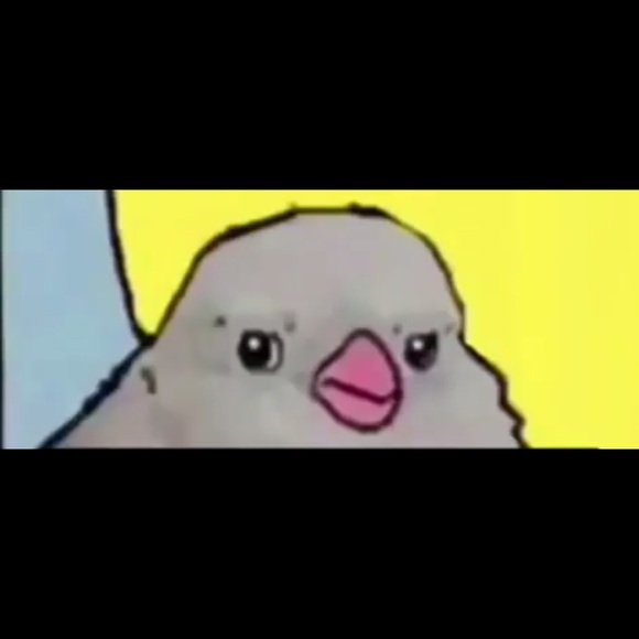 Profile Picture of James Torrico (@jamestorrico1) on Poshmark