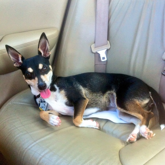 Profile Picture of Hailey Collier (@haileycollier) on Poshmark