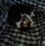 Cathy Craig Mazzeo - Facebook Profile Picture of Cathy Craig Mazzeo (@cathycraig.mazzeo) on Facebook