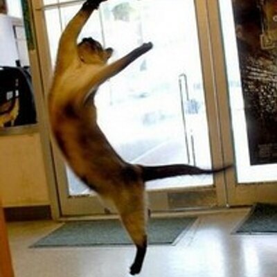 Profile Picture of KTE (@KahnTheEllis) on Twitter