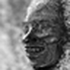 Profile Picture of winthemacrovirus (@winthemacrovirus) on Flickr