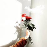 Profile Picture of gul.ahmedova.1 (@gul.ahmedova.1) on Instagram