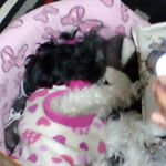 Profile Picture of Álvaro Diego M. Fuentes (@alvaro_fuentes_f) on Instagram