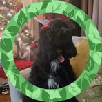 Profile Picture of Ronald Brookings (@ronald.brookings.9) on Facebook