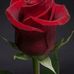 Profile Picture of Sylvester Lockett (@sylvester.lockett.5) on Facebook