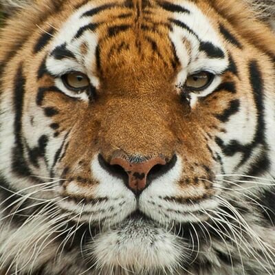 Profile Picture of JoelABC (@JoelPardo) on Twitter