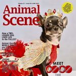 Profile Picture of adrian stephen pets (@adrian_stephen.pets) on Instagram