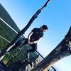 Profile Picture of David Ota (@@davidota16) on Tiktok