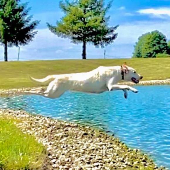 Profile Picture of Amy Mcanally (@amymcanally) on Poshmark