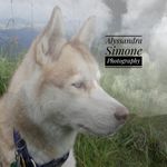 Profile Picture of Alyssandra Simone Ferguson (@alyssandrasimonephotography) on Instagram