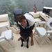 Profile Picture of Nathaniel Purdy (@purdynathaniel) on Pinterest
