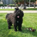 Profile Picture of Drea Mer (@Drea-Mer) on Facebook