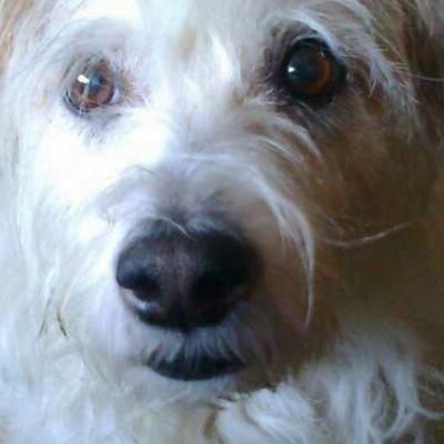 Profile Picture of Christopher Batty (@Christo68924447) on Twitter