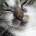 Profile Picture of Anne Calbert (@anne.calbert.338) on Facebook