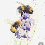 Profile Picture of Katherine Appel (@bee_unique_photography) on Instagram