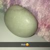 Profile Picture of jean_lapierre (@@jean_lapierre) on Tiktok