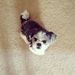Profile Picture of Heather Waldron (@hwald0706) on Pinterest