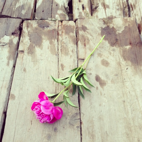 Profile Picture of Gemma Williams (@gemmaw) on Poshmark