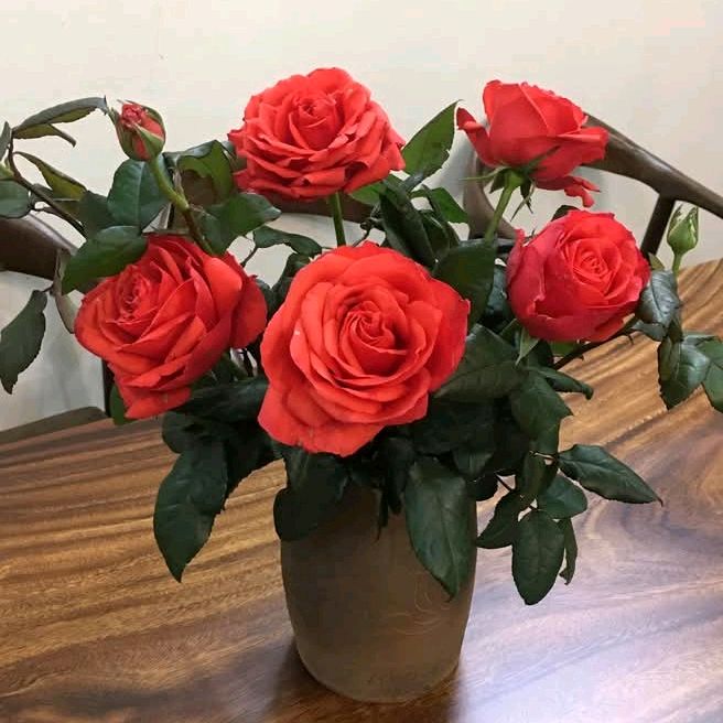 Daniel Gunter - Tiktok Profile Picture of Daniel Gunter (@daniel.gunter1) on Tiktok