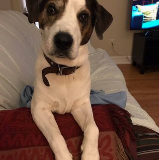 Profile Picture of Melanie Niece (@melanie.niece.7) on Facebook