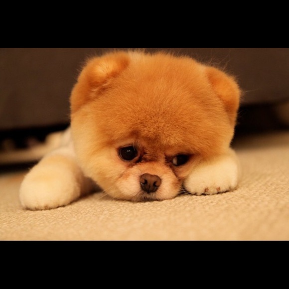 Emily Senderak - Poshmark Profile Picture of Emily Senderak (@esenderak) on Poshmark