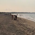 Profile Picture of Philippe Lussier (@lussier_philippe) on Instagram