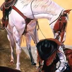 Profile Picture of Edwin Robayo (@Edwin-Robayo) on Facebook