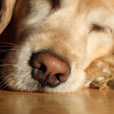 Profile Picture of Jeffrey Irvin (@Puma123J) on Twitter