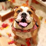 Profile Picture of Slim Jim Gauthier (@princessoffishtown) on Instagram