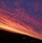 Profile Picture of Adria Carroll (@Adria-Carroll) on Facebook