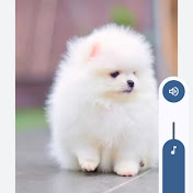 Profile Picture of Maja Bujak (@MajaBujak-n1n) on Youtube