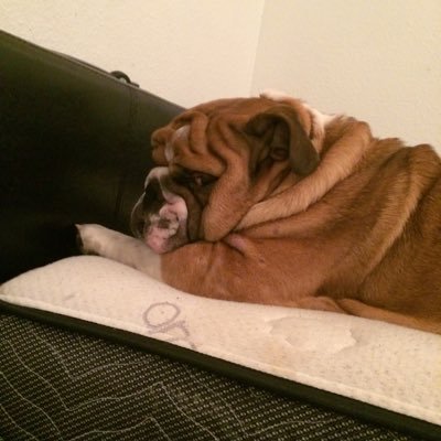 Profile Picture of Bryan Huseman (@Bryanhuseman52) on Twitter
