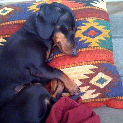 Profile Picture of Jim Sanger (@jimbsanger) on Twitter