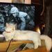 Profile Picture of Billy Pointer (@billypointer2) on Pinterest