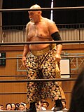 Profile Picture of Hoshitango Imachion Wikipedia