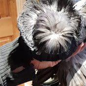 Profile Picture of Neil Pratt (@neilpratt2772) on Youtube