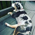 Profile Picture of Mavis bracey (@brad_donnellys) on Instagram