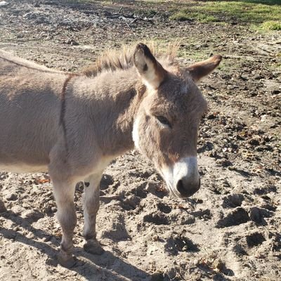 Profile Picture of Jeremy Murphy (@J_Murphy1973) on Twitter