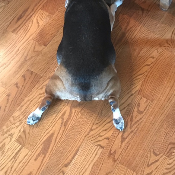 Profile Picture of Konrad Starzynski (@konrad1975) on Poshmark