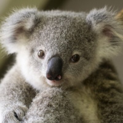 Profile Picture of Jacob Penner (@Jacob1Penner) on Twitter