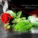 Profile Picture of Malika Sethi (@malikasethi3) on Pinterest